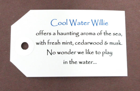 Cool Water Willie