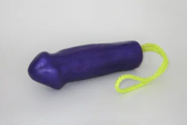 A purple toy with a yellow string around it.