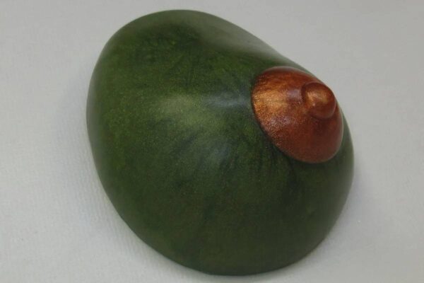 A green avocado with a brown stem on top.