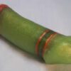 A green banana with orange and red stripes on it.