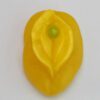 A yellow leaf with green bead on top of it.