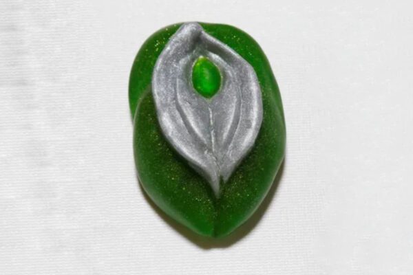 A green leaf with a silver leaf on it.
