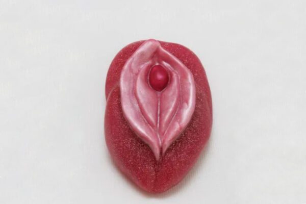 A red piece of candy with a pink leaf on top.