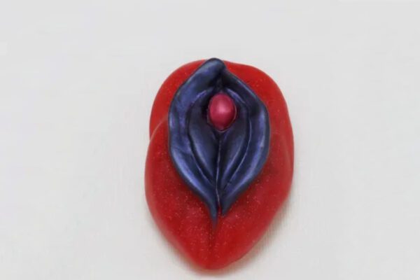 A red and blue piece of fruit with a leaf on it.