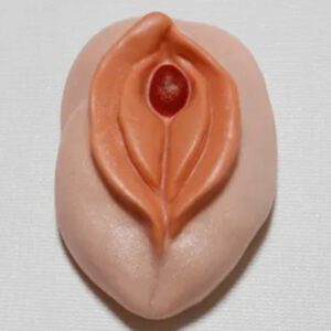 A close up of the top part of an artificial vagina