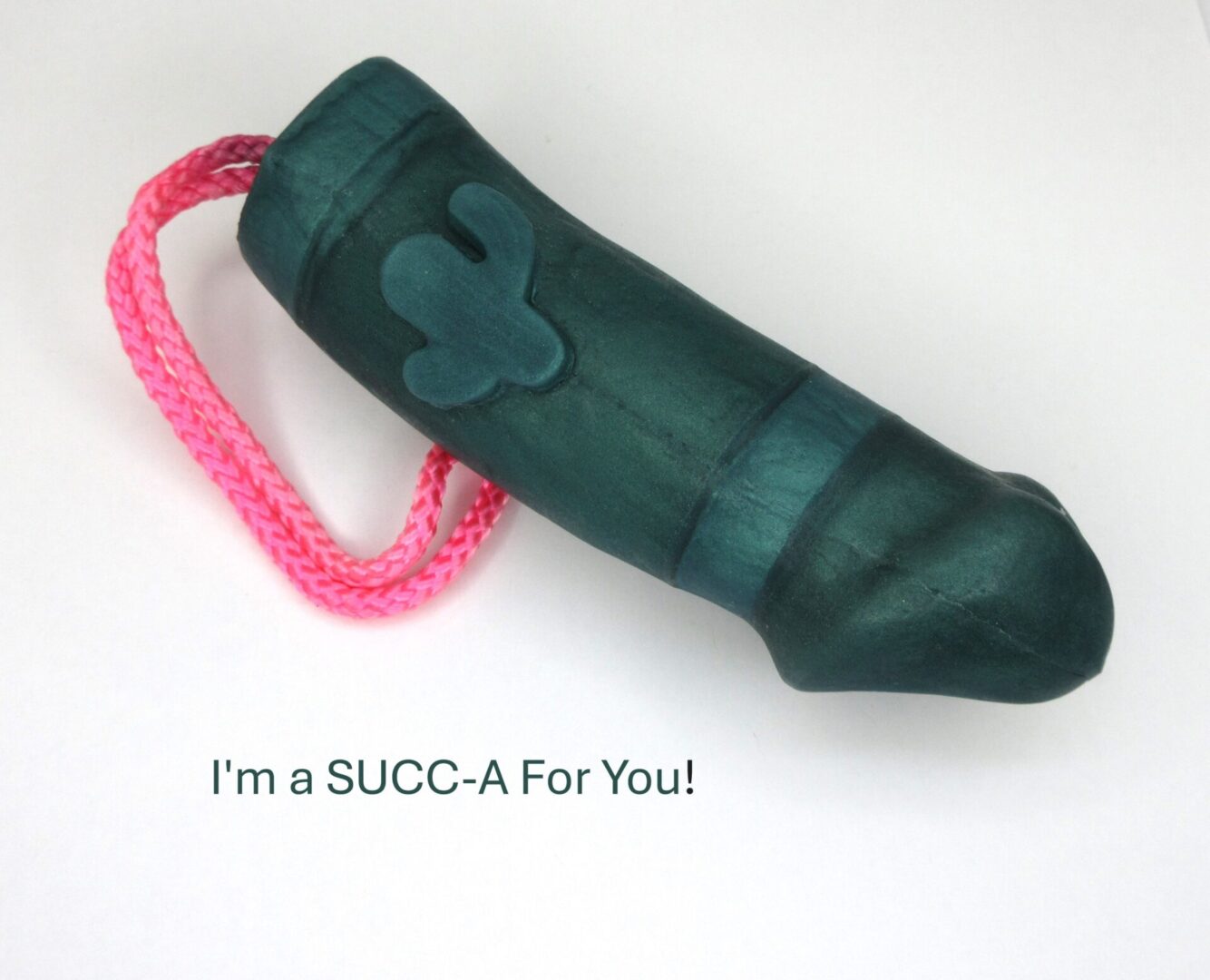 Cactus-shaped toy with pink rope handle.