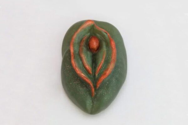 A green leaf with orange lines on it.