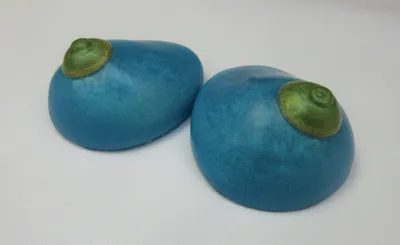 Two blue stones with a green dot on them.