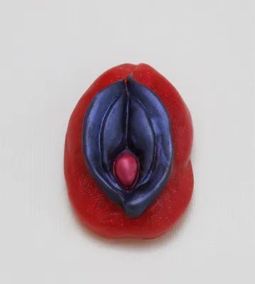 A red and blue condom with the logo of a woman 's vagina.
