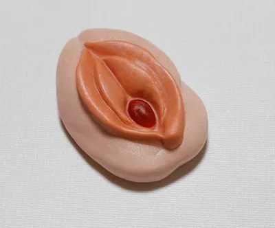 A close up of an artificial vagina