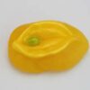 A yellow piece of fruit sitting on top of a table.